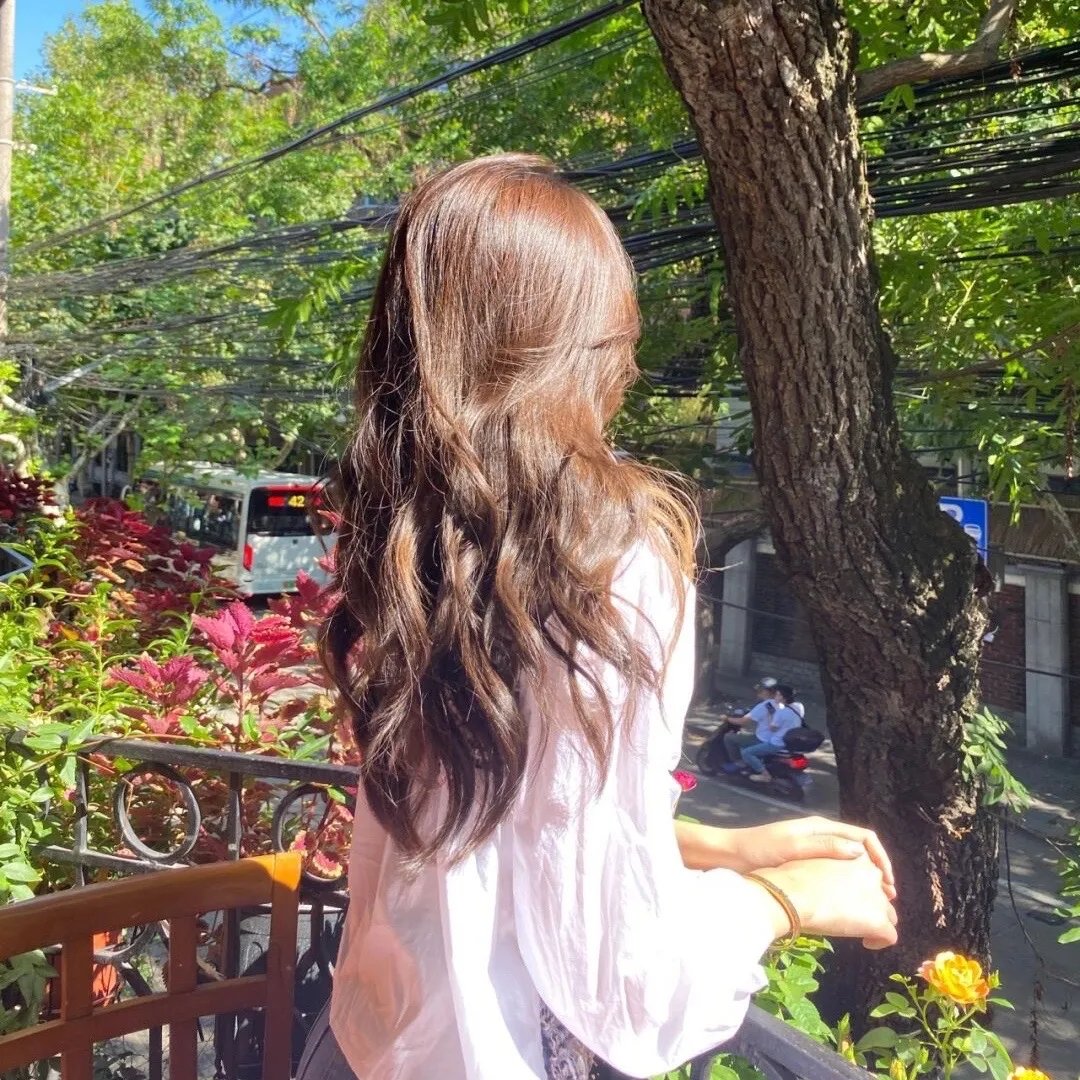 画室春光
